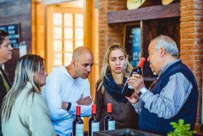 Vinos en el Valle de Casablanca desde Valparaíso Vinos en el Valle de Casablanca desde Valparaíso