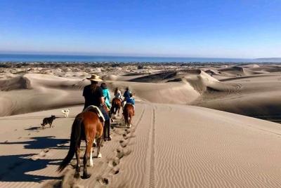 Excursión Privada para Cruceros en Valparaíso: Cabalgata en la Playa y Viña del Mar Excursión Privada para Cruceros en Valparaíso: Cabalgata en la Playa y Viña del Mar