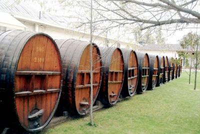 Valle del Maipo  Valle del Maipo 'Concha y Toro' Wine Tour Traslado privado desde Valparaíso