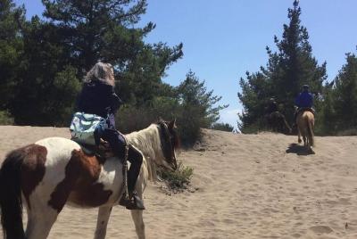 Cabalgatas + BARBACOA Ritoque Dunas de arena y playa (EXCURSIÓN PRIVADA) Cabalgatas + BARBACOA Ritoque Dunas de arena y playa (EXCURSIÓN PRIVADA)