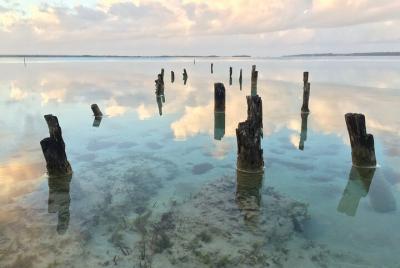 Visita turística privada de 2 horas desde Cancún a Playa del Carm