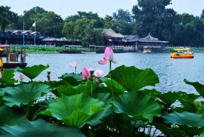 Excursión a pie Hutong privada de 3 horas con espectáculo de tamb