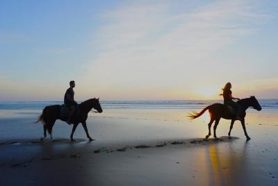 Semana de acción en pareja de windsurf, surf y equitación
