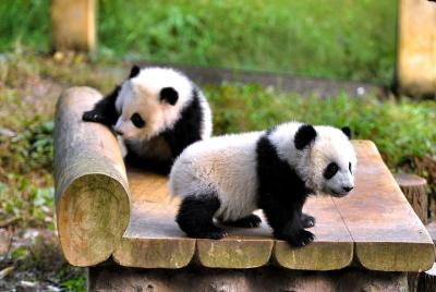Excursión privada de medio día al zoológico de Chong Lugares turísticos en Cosas que hacer en Excursión privada de medio día al zoológico de ChongLugares turísticos en Cosas que hacer en