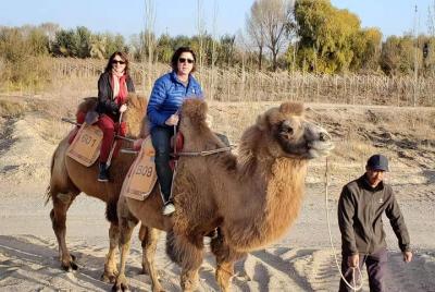 Dunhuang Private Camel Riding en el desierto de Gobi Dunhuang Private Camel Riding en el desierto de Gobi