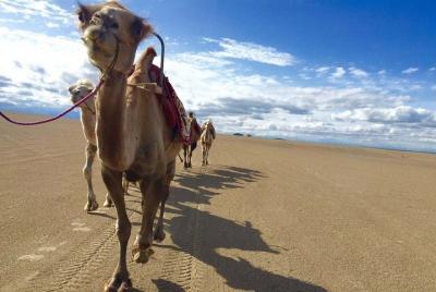 Excursión de 4 días a Dunhuang por la ruta de la seda Excursión de 4 días a Dunhuang por la ruta de la seda