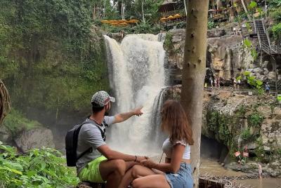 Viaje de descubrimiento de Bali (natural) Arroz, cascada, bosque