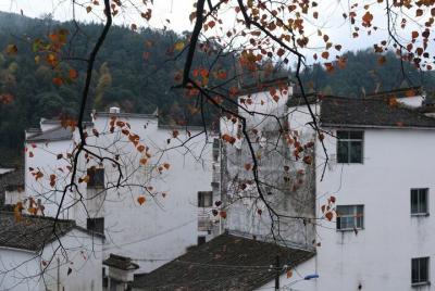 Tour privado de un día a las aldeas de Wuyuan Huangling y Likeng desde Tunxi en Huangshan
