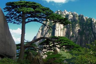 Excursión privada de un día eficiente a la montaña Huangshan y al pueblo Hongcun con todo incluido