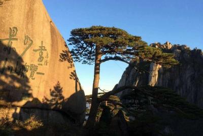 Recorrido grupal por el monte Huangshan Highlights - Sin compras