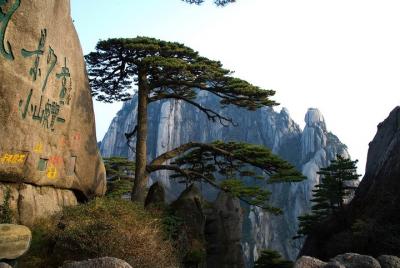 3 días de Huangshan (Monte Huang) Impresionante recorrido por la naturaleza (hotel de 5 estrellas)
