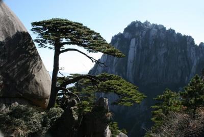 Tour privado de 2 días para visitar la montaña Huangshan y el pueblo Hongcun
