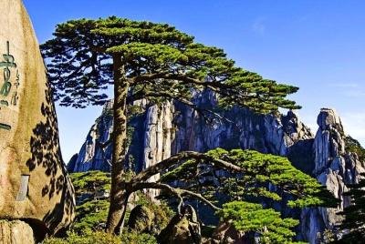 Excursión privada de 3 días a Huangshan: montaña amarilla, pueblo de Chengkan y calle Tunxi