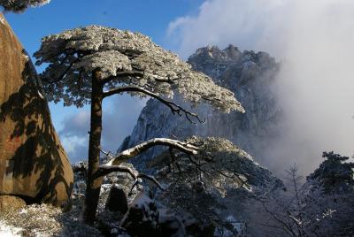 Tour de 1 día en el grupo de Mt Huangshan (montaña amarilla), sin compras