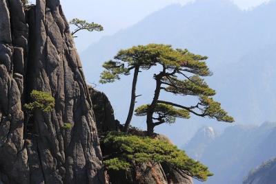 Lo mejor del recorrido a pie de Huangshan