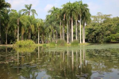 Tour de 2 días en Xishuangbanna