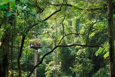Excursión de un día a la Reserva Tropical Natrue más Jungle Fly