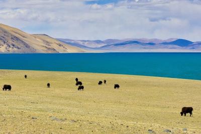 Excursión de 6 días a la ciudad de Lhasa en grupos pequeños y al lago sagrado Namtso desde Zhuhai Excursión de 6 días a la ciudad de Lhasa en grupos pequeños y al lago sagrado Namtso desde Zhuhai