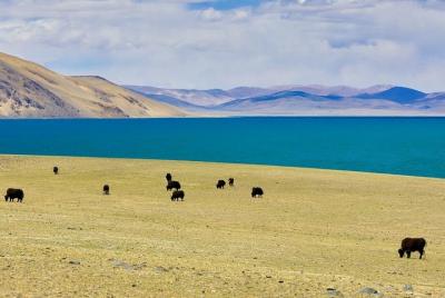 Recorrido de 6 días en grupo pequeño por la ciudad de Lhasa y el lago sagrado Namtso Recorrido de 6 días en grupo pequeño por la ciudad de Lhasa y el lago sagrado Namtso