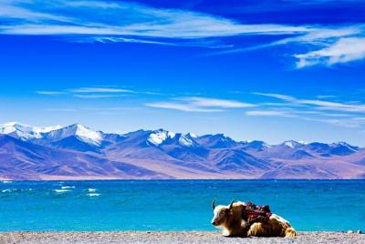 Excursión de 6 días a la ciudad de Lhasa en grupos pequeños y al lago sagrado Namtso desde Xiamen Excursión de 6 días a la ciudad de Lhasa en grupos pequeños y al lago sagrado Namtso desde Xiamen