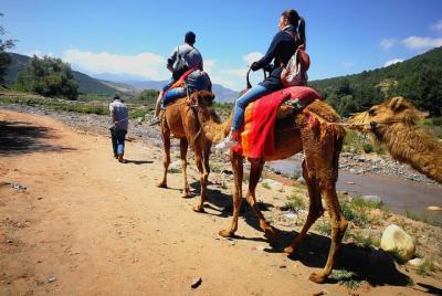 Montañas del Atlas y Tres Valles y Cascadas - Paseo en camello Excursión de un día a Marrakech