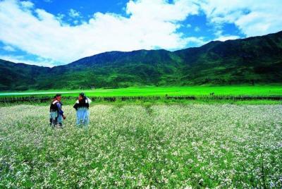 Tour de trekking privado al lago Wenhai desde el servicio de medio día de Lijiang Tour de trekking privado al lago Wenhai desde el servicio de medio día de Lijiang