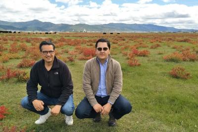 Montañas privadas de Jade Dragon Snow y Naxi Village Tour Montañas privadas de Jade Dragon Snow y Naxi Village Tour