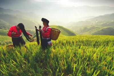 Excursión privada de un día a las terrazas de arroz de Longji y pueblos minoritarios Excursión privada de un día a las terrazas de arroz de Longji y pueblos minoritarios