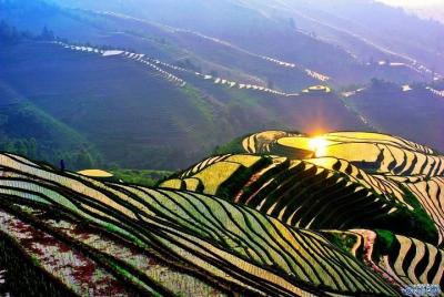 Guía privado de habla inglesa: terrazas de arroz Longji, pueblo minoritario local Guía privado de habla inglesa: terrazas de arroz Longji, pueblo minoritario local