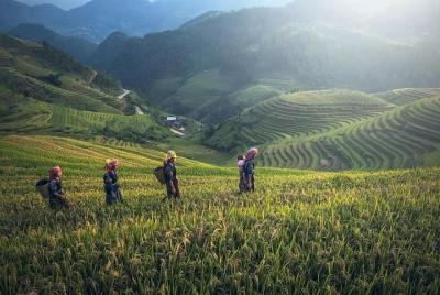 Excursión privada de día completo a las terrazas de arroz de Longji desde Guilin Excursión privada de día completo a las terrazas de arroz de Longji desde Guilin