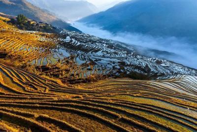 Terraza privada de arroz y senderismo en pueblos minoritarios de Longji a Pingan Terraza privada de arroz y senderismo en pueblos minoritarios de Longji a Pingan