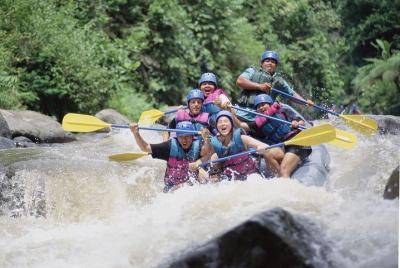 Aventura de rafting en Ubud en Bali con almuerzo buffet indonesio