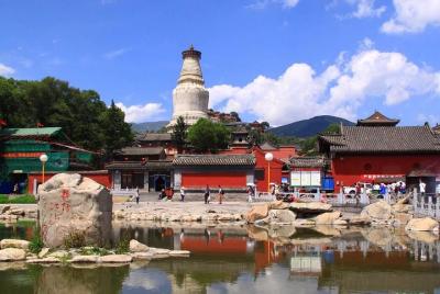 Excursión privada de un día para descubrir Wutaishan desde Pingyao