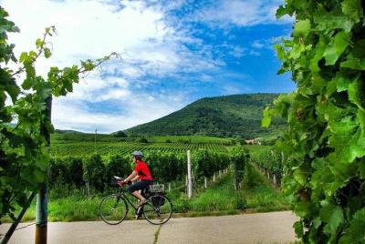 E-Bike Mainz Wine Tour / Cata de vinos E-Bike Mainz Wine Tour / Cata de vinos