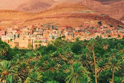 Excursión de un día en camello a las montañas del Atlas sin filas en Marrakech