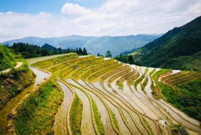 Tour privado de un día a las terrazas de arroz de Longji desde Yangshuo Tour privado de un día a las terrazas de arroz de Longji desde Yangshuo