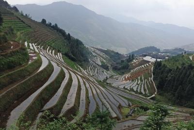 Excursión de un día a las terrazas de arroz de Longji desde el hotel Xingping Excursión de un día a las terrazas de arroz de Longji desde el hotel Xingping