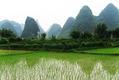 Excursión privada de un día en Yangshuo: Shilihualang, Xingping Li River Boat y almuerzo Excursión privada de un día en Yangshuo: Shilihualang, Xingping Li River Boat y almuerzo