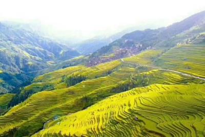 Tour privado de un día a Longji Rice Terrace desde Yangshuo Tour privado de un día a Longji Rice Terrace desde Yangshuo