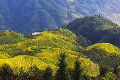 Excursión privada de un día con todo incluido a las terrazas y al pueblo de arroz de Longji Excursión privada de un día con todo incluido a las terrazas y al pueblo de arroz de Longji