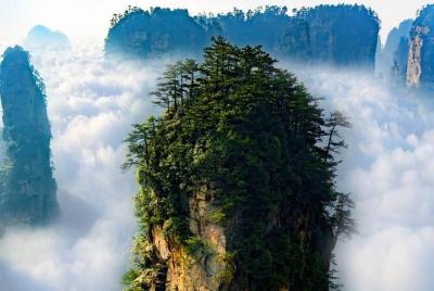 1 Excursión de un día "Pandora" al Parque Nacional Zhangjiajie (Paisaje de la montaña Avatar) 1 Excursión de un día