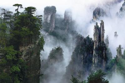 Excursión privada de un día al Parque Forestal Nacional de Zhangjiajie Excursión privada de un día al Parque Forestal Nacional de Zhangjiajie