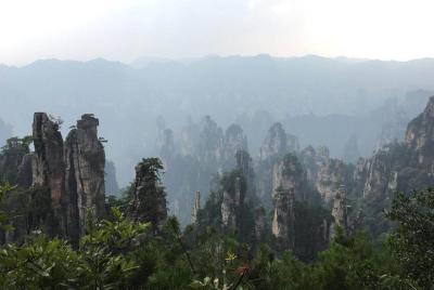 Excursión privada de un día a la montaña Avatar y al puente de cristal de Zhangjiajie Excursión privada de un día a la montaña Avatar y al puente de cristal de Zhangjiajie
