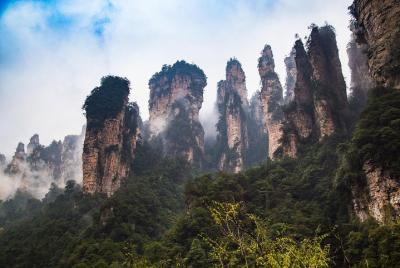 Excursión privada de un día a Zhangjiajie: Parque forestal nacional de Zhangjiajie, montaña Avatar Excursión privada de un día a Zhangjiajie: Parque forestal nacional de Zhangjiajie, montaña Avatar