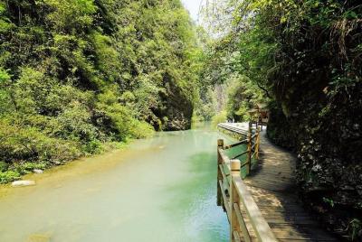 Excursión de 1 día a Zhangjiajie: Gran Cañón con puente de cristal y cueva del dragón amarillo Excursión de 1 día a Zhangjiajie: Gran Cañón con puente de cristal y cueva del dragón amarillo