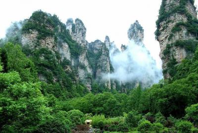 Tour privado de un día al Parque Nacional Zhangjiajie Tour privado de un día al Parque Nacional Zhangjiajie