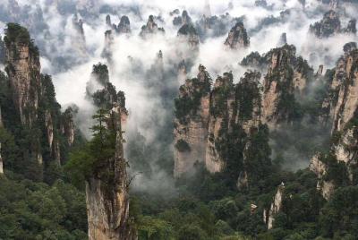 Excursión de 2 días completos al parque forestal nacional Zhangjiajie Excursión de 2 días completos al parque forestal nacional Zhangjiajie