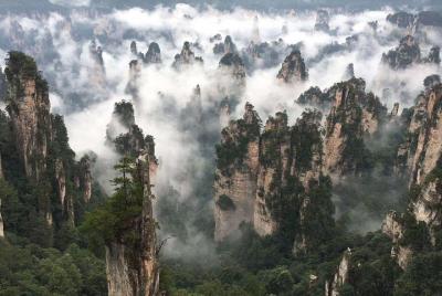 Tour de 3 días por la montaña Avatar de Zhangjiajie y el puente de cristal Tour de 3 días por la montaña Avatar de Zhangjiajie y el puente de cristal