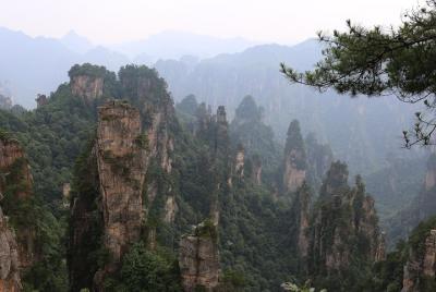 Excursión de un día a Zhangjiajie Park Avatar Mountain y Zhangjiajie Glass Bridge Excursión de un día a Zhangjiajie Park Avatar Mountain y Zhangjiajie Glass Bridge