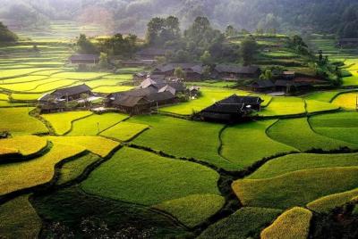 Excursión privada al complejo turístico Zhangjiajie Shiyanping Village que incluye almuerzo Excursión privada al complejo turístico Zhangjiajie Shiyanping Village que incluye almuerzo